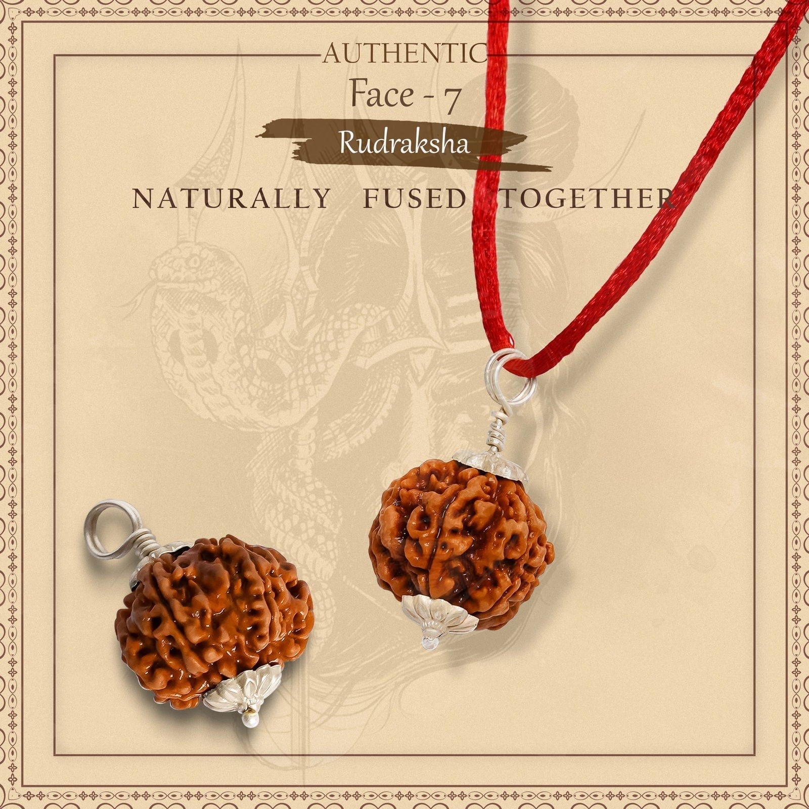 Rudraksha Pendant | 7 Mukhi Rudraksha Seven Faced Rudraksha Beads Pendant Benefits 7 Mukhi Rudraksha Silver Capped Pendant