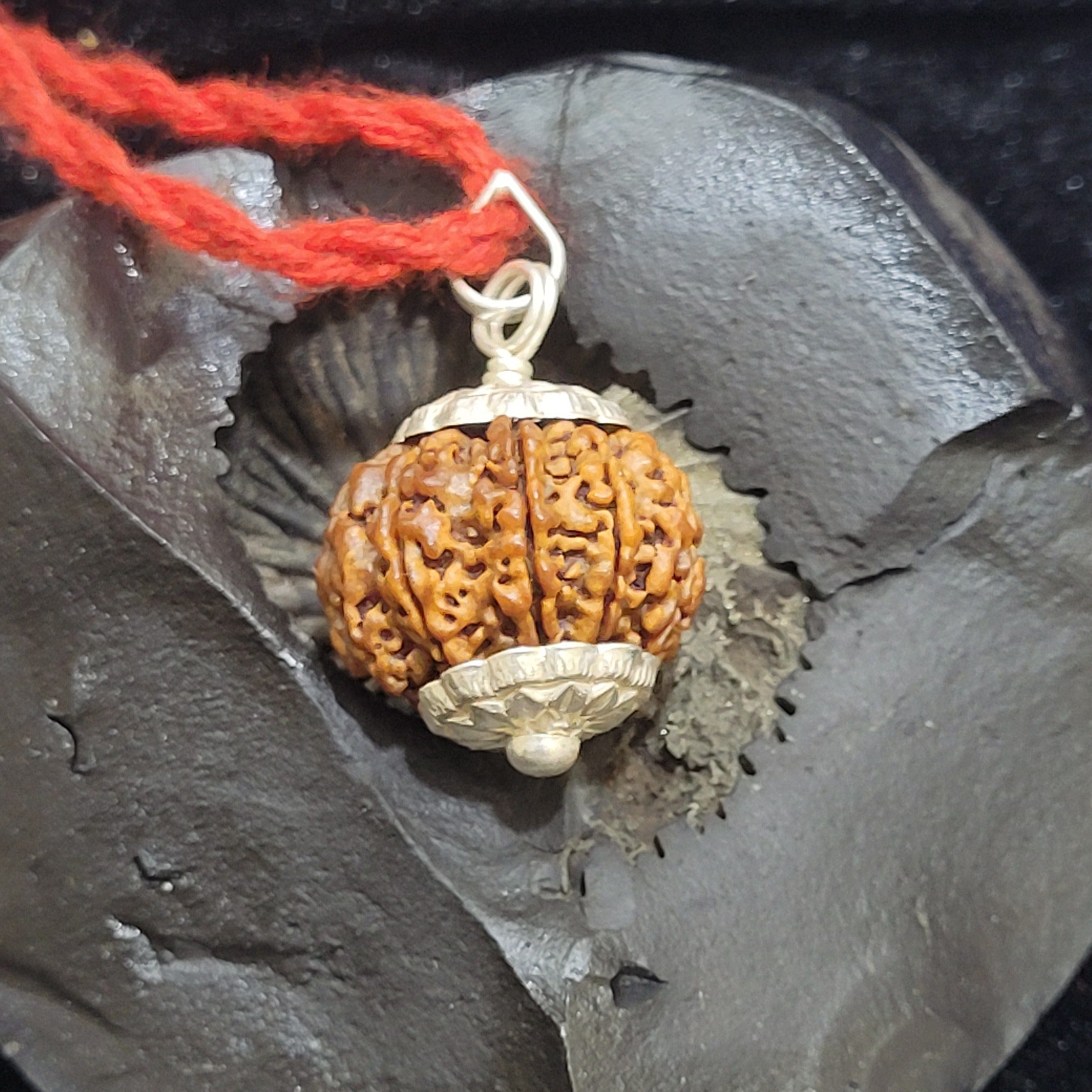 Rudraksha Pendant | 7 Mukhi Rudraksha Seven Faced Rudraksha Beads Pendant Benefits 7 Mukhi Rudraksha Silver Capped Pendant