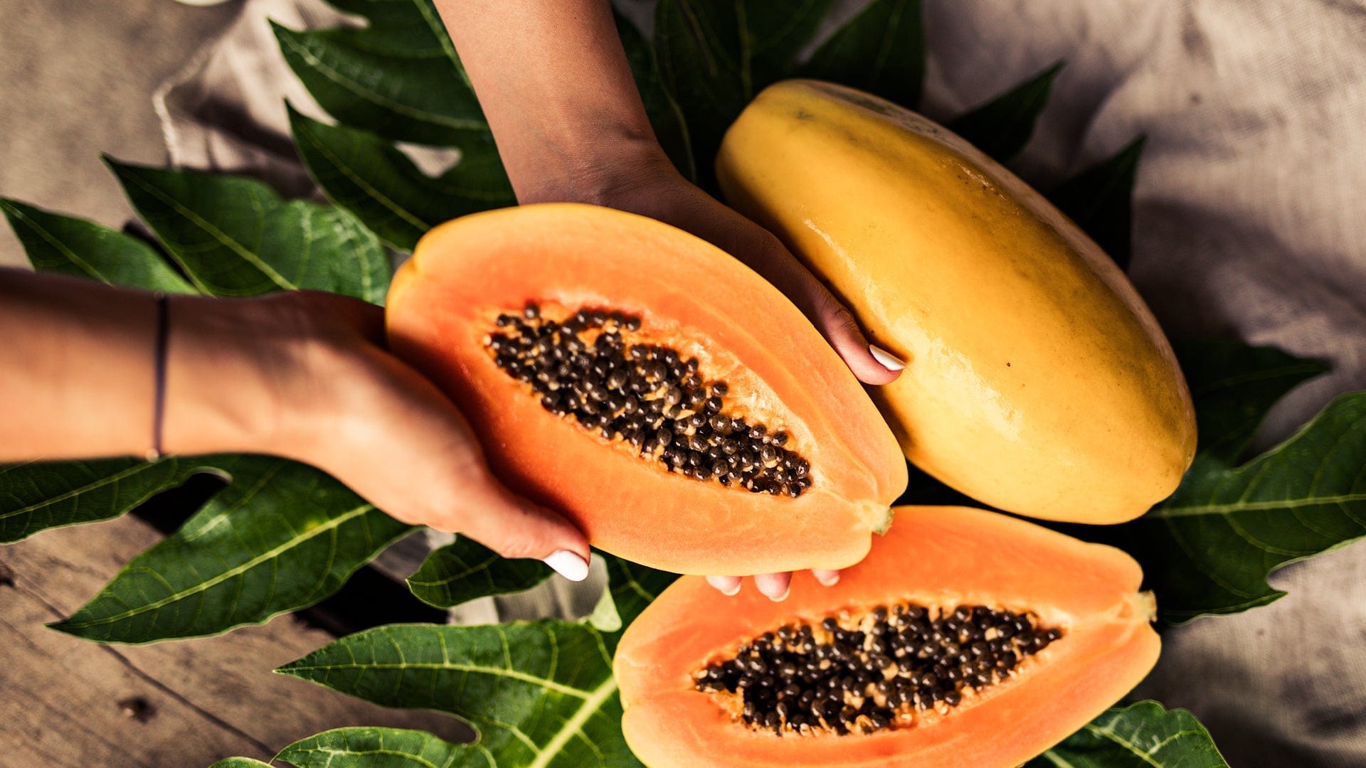 Special Golden Papaya 50 Seeds | Papaya Dietary Fiber Nutrients Papaya Seeds Enzyme Vitamins Special Golden Papaya Seeds (50 seeds)