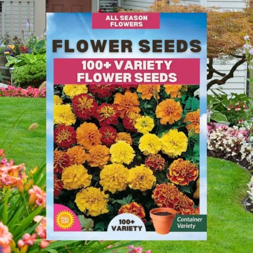 Sun Flower Seeds Daisy Flower Flowering Plants Germination Of Seed - BlossomBloom™️ (Pack of 100 Seeds) Multiple Variety Of Flower Seeds (Pack of 100 Seeds) Zaavio.co®