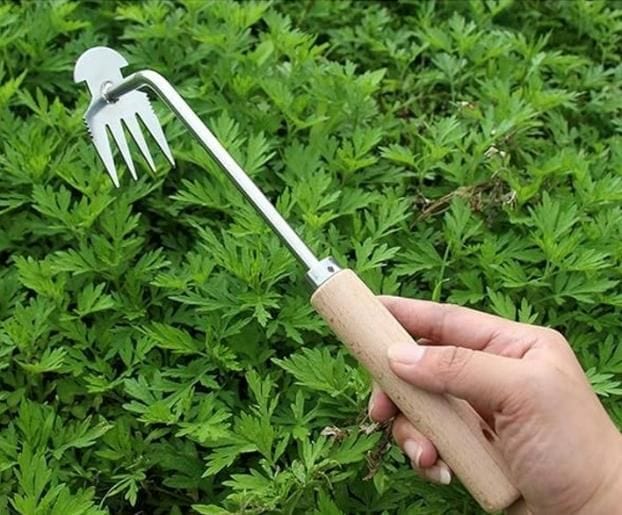 Weedwandzy™ | Garden Tool Plants Weeding Tools Removal Garden Accessories Weeder Weedwandzy™ Puller Sharp Weeding Tool Zaavio.co®